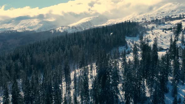 Winter Snow Mountain Forest Weather Season Frozen alt