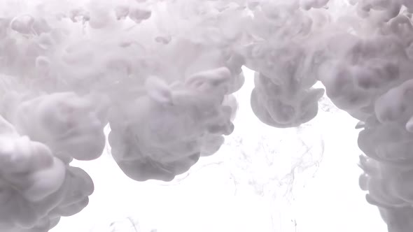 Cloud of White Paint Swirls