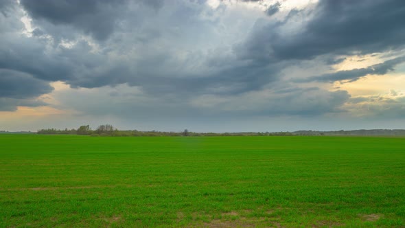 Green Field and Storm Clouds alt