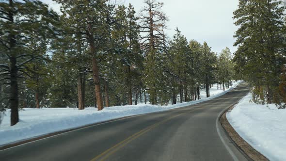 Snow in Wintry Forest Driving Auto Road Trip in Winter Utah USA