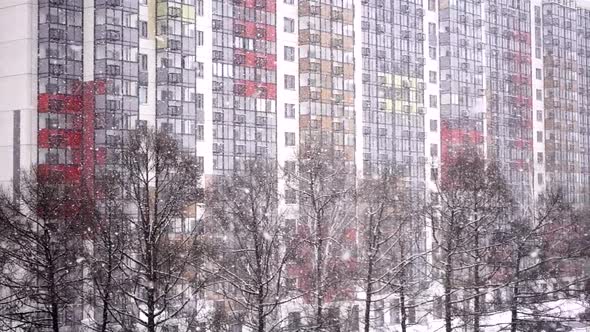 Magic Snow in Modern City