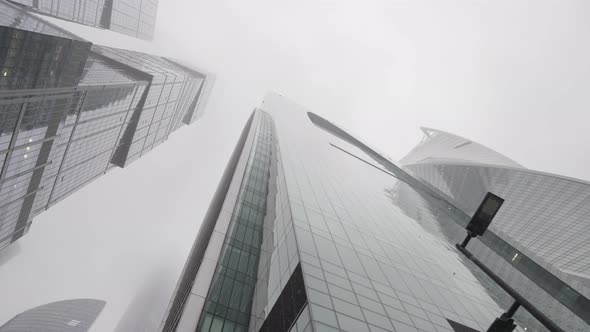 Modern city jungles alt