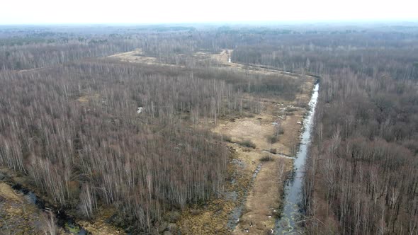 Marshes in Europe