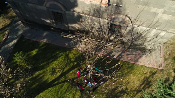Students Playing Hand by Hand alt