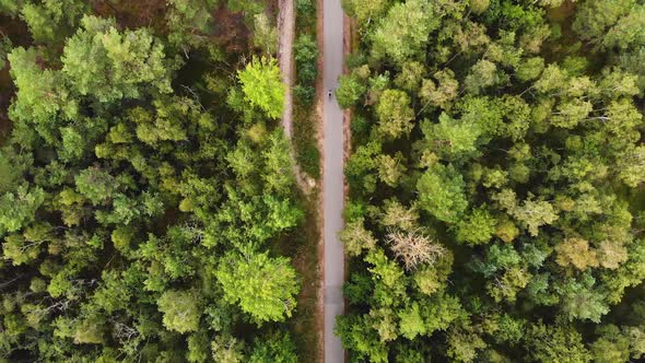 AERIAL: Lonely Cyclist Drives in the Forest, Opposite Direction Shot alt