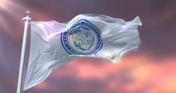 Mecklenburg County Flag, United States alt