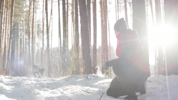Dogs Playing with Ball during Walk in Woods alt