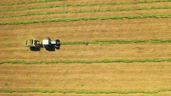 Aerial view of tractor at work in the field. Special machinery for collecting dried grass alt