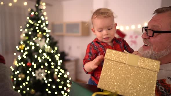 Grandfather and Grandson Celebrate Christmas at Home Near the Tree. A Happy Toddler Looks at alt