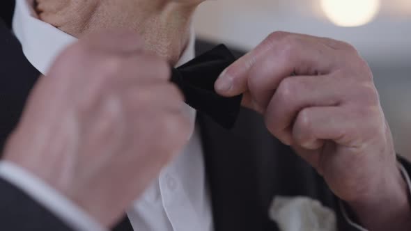 Closeup Black Bow Tie with Wrinkled Male Caucasian Hands Adjusting It in Slow Motion alt