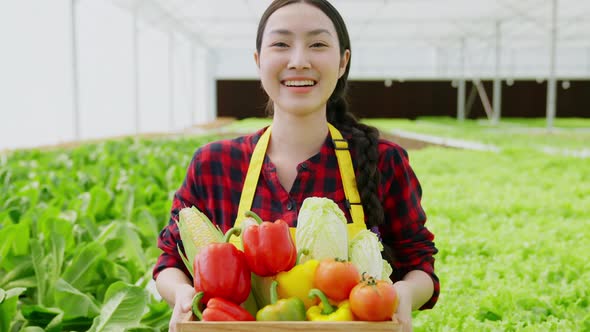 asian small business owner greenhouse hydroponic farm business owner hand hold fresh vegetable
