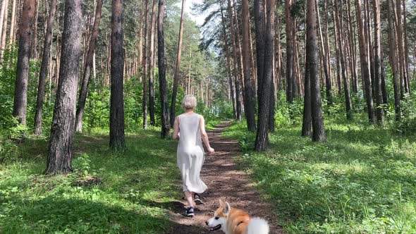 Girl with a Dog Akita Inu Walks in the Forest