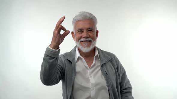 Stylish Old Man with a Gray Beard and Hair Shows a Gesture Everything is Ok