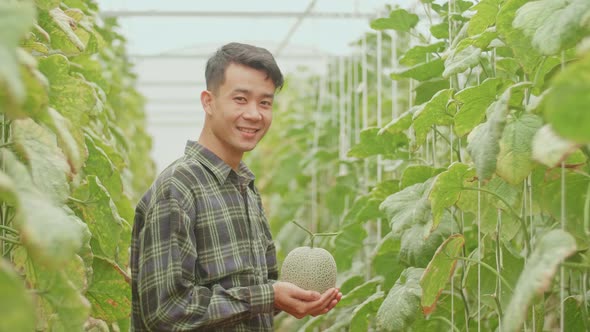 Asian Farmer Holding Melon And Smiles To Camera In Green House Of Melon Farm alt