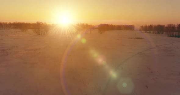 Aerial Drone View of Cold Winter Landscape with Arctic Field Trees Covered with Frost Snow and alt