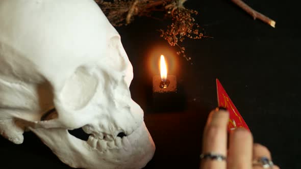 Ace Of Cups Tarot Card alt