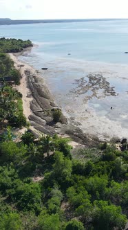 Tanzania  Vertical Video of Low Tide in the Ocean Near the Coast of Zanzibar Slow Motion alt