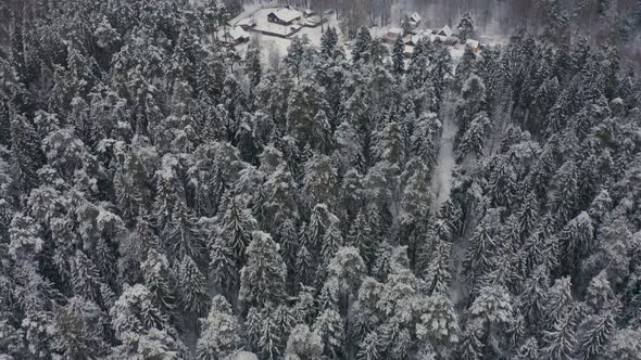 Winter Landscape of a Russian Village in the Forest