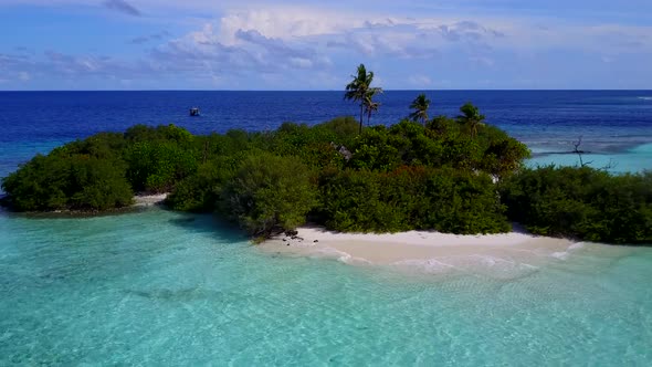 Drone nature of seashore beach wildlife by water with sand background alt
