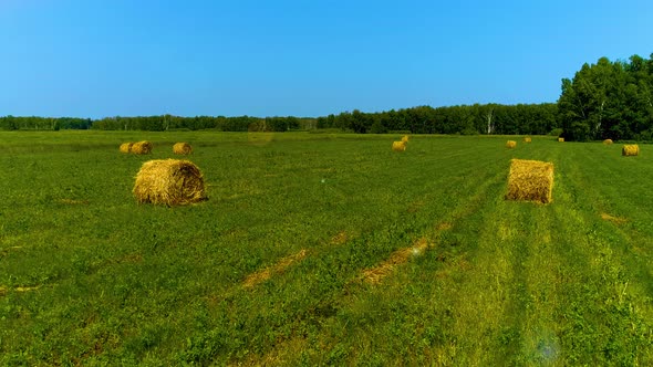 Haystacks In Green Field