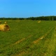 Haystacks In Green Field - VideoHive Item for Sale