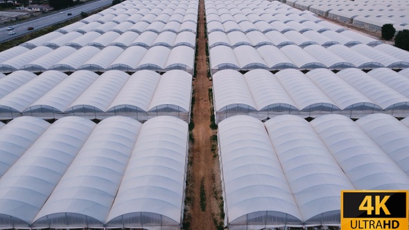 Field Of Green House Aerial