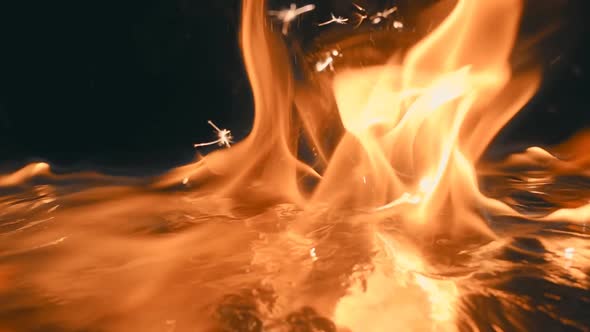 A Blue Wave Of Fire Diverges From The Center With The Formation Of A Large Flame