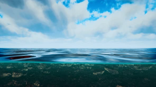 Underwater View with Horizon and Water Surface Split By Waterline alt