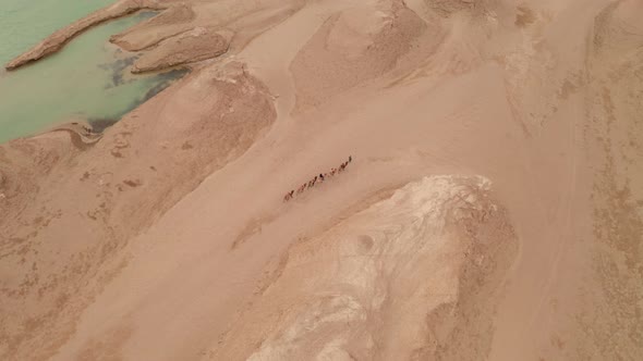 Camel troop in wind erosion terrain landscape, yardang landform alt