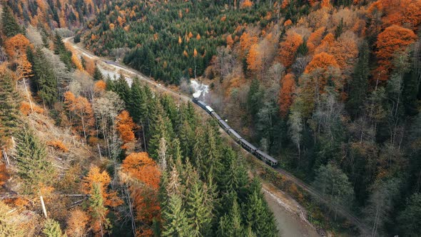 Aerial drone view of the moving steam train Mocanita in a valley along a river alt