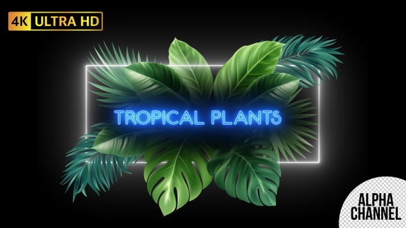 Tropical Plants And Neon Frame