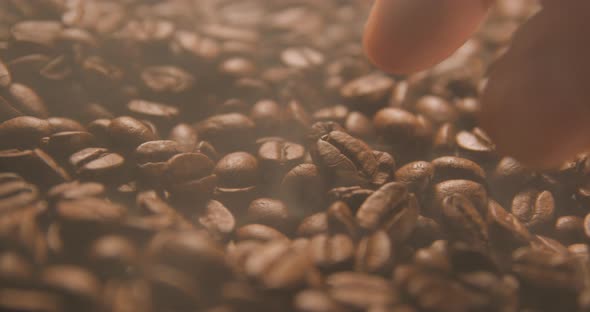 Coffee beans slow motion indoor
