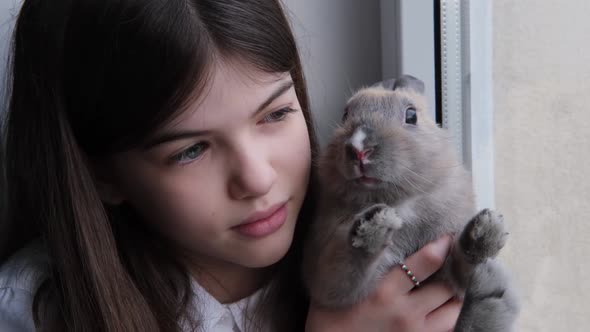 a Young Girl Holding a Rabbit in Her Arms and Sitting By the Window
