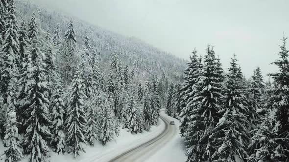 Winter beautiful scenery landscape with snowy forest road, from a drone. alt