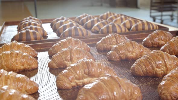 Fresh Baked Long Baguette Breads Lie on the Wooden Table Sprinkled with Flour in a Pile alt