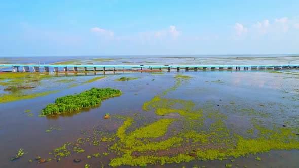 4K Drone Birds Eye View of Thale Noi, a large wetland in Phatthalung, Thailand alt