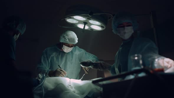 Doctors Team Performing Surgical Operation in Dark Hospital Operating Room alt