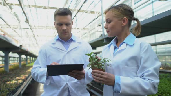 Team of Scientists Researching Plant Making Notes in Tablet, Breeding Science