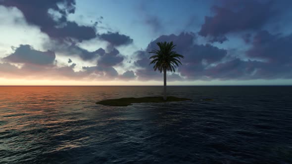 Palm Island Sunset