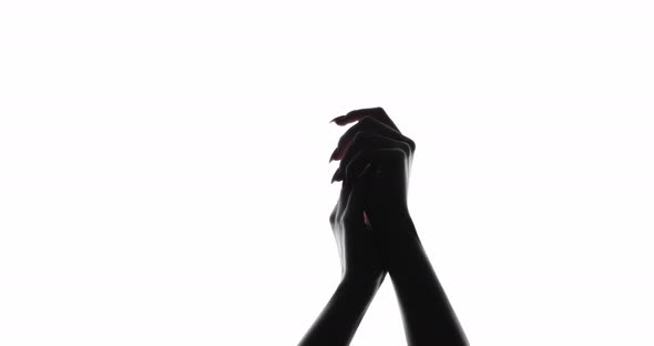 Female Hands Silhouette Lesbian Love Gay Couple alt