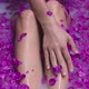 Spa Unrecognizable Lady Enjoying Bathtub with Milk and Flower Petals - VideoHive Item for Sale
