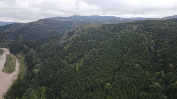 Nature of Ukraine Carpathian Mountains Slow Motion alt