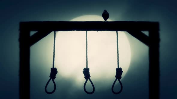 Nooses Hanging On A Gallows With A Raven On A Full Moon Background alt