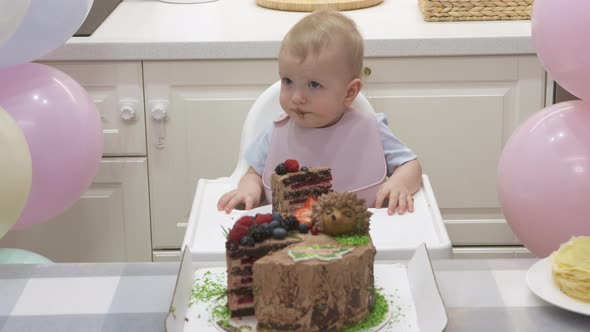 One Year Old Baby Boy Celebrating His First Birthday Cute Small Child Sitting in Front of Sweet alt