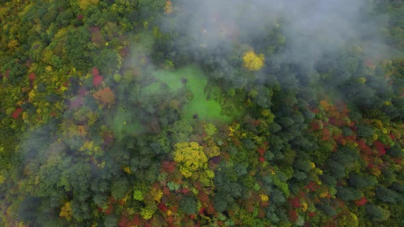 Colorful autumn foggy forest top view alt