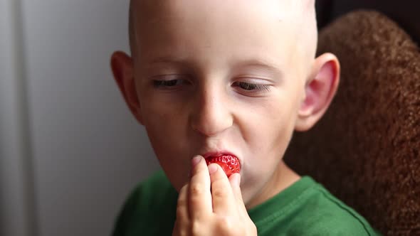 health concept. the child boy eating fresh strawberry at home. schoolboy eating healthy organic food