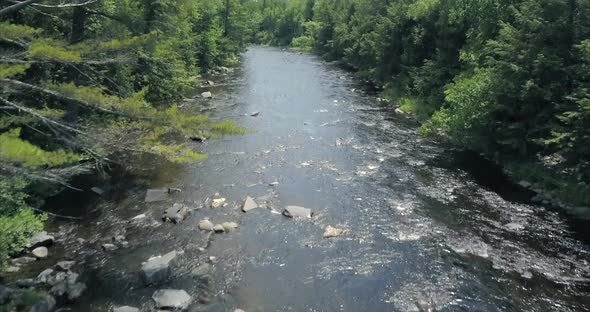 Flying between the trees along a river at Tobey Falls near Willimantic, Maine. alt