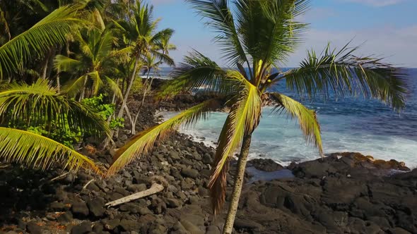 Coastline of Hawaii alt