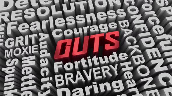 Guts Courage Bravery Mettle Fearless Qualities Words 3d Animation alt