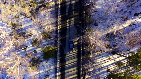 Aerial View of The Car that Rides on A Forest Road Among the Trees alt